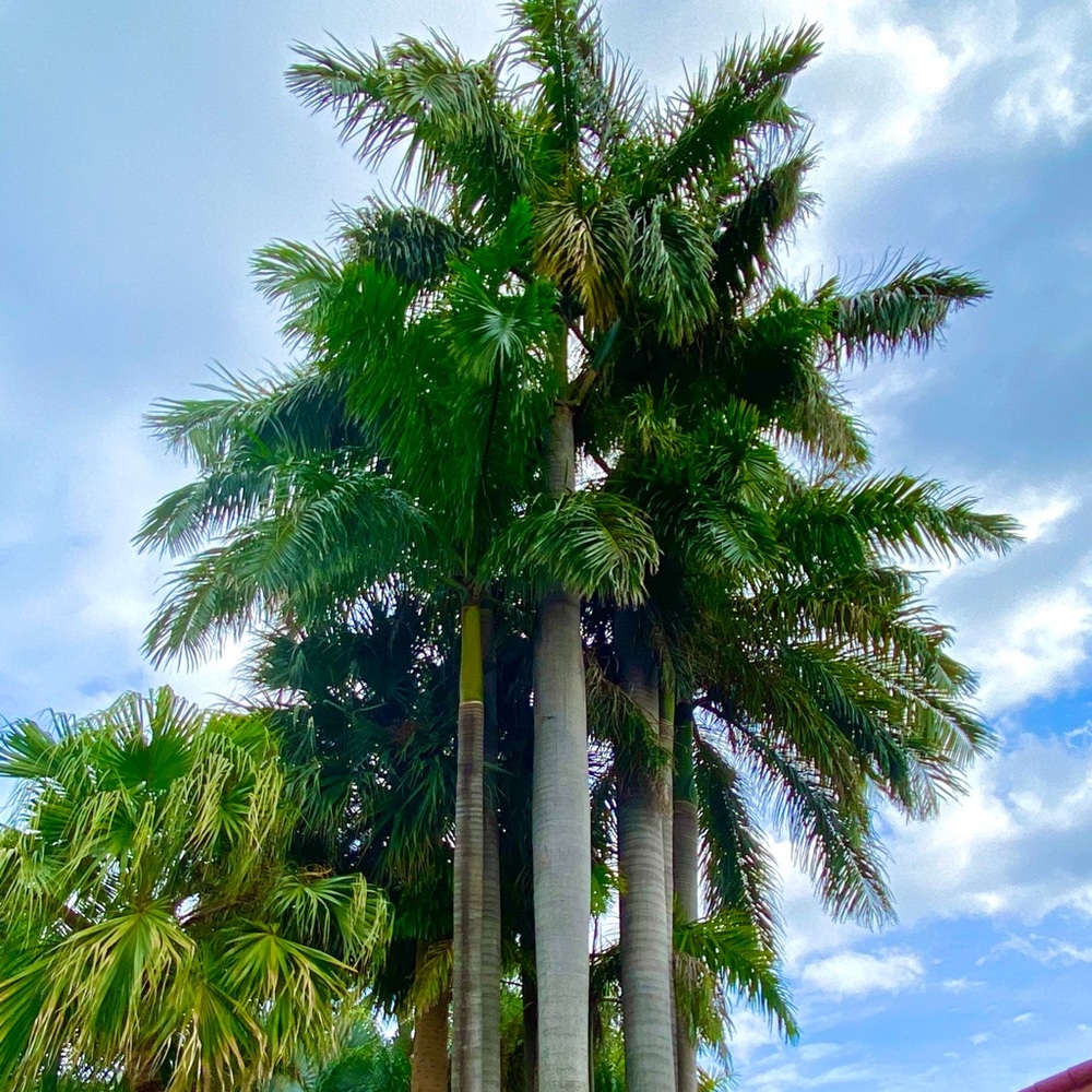 Meet your Posher, Kris